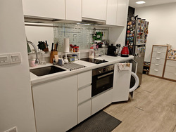 The Orient (D5), Apartment #545660881
